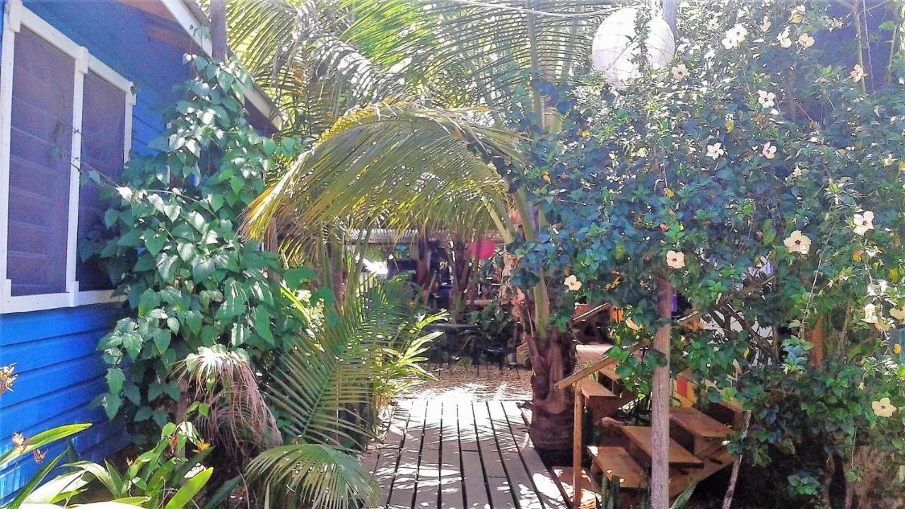 The Funky Dodo Backpackers Hostel Хопкинс Экстерьер фото