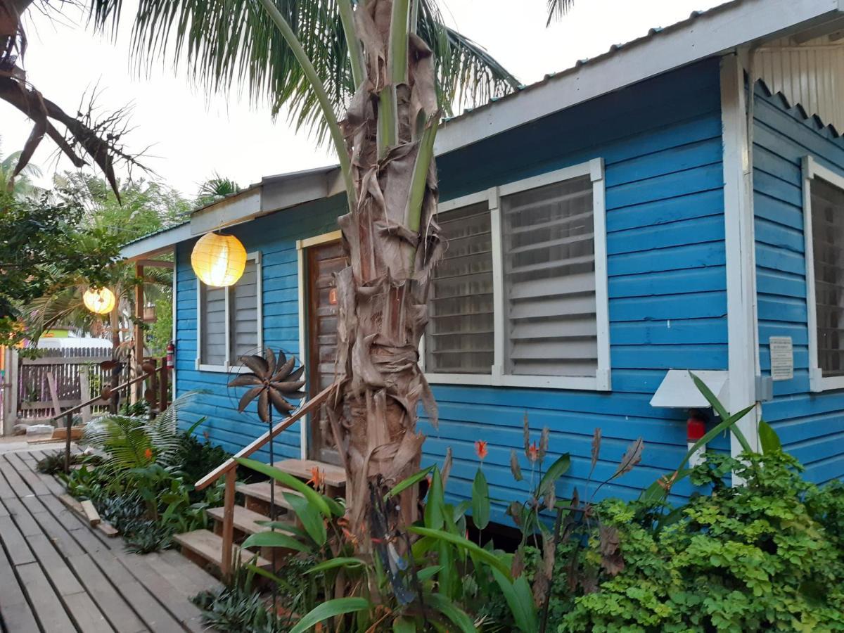The Funky Dodo Backpackers Hostel Хопкинс Экстерьер фото