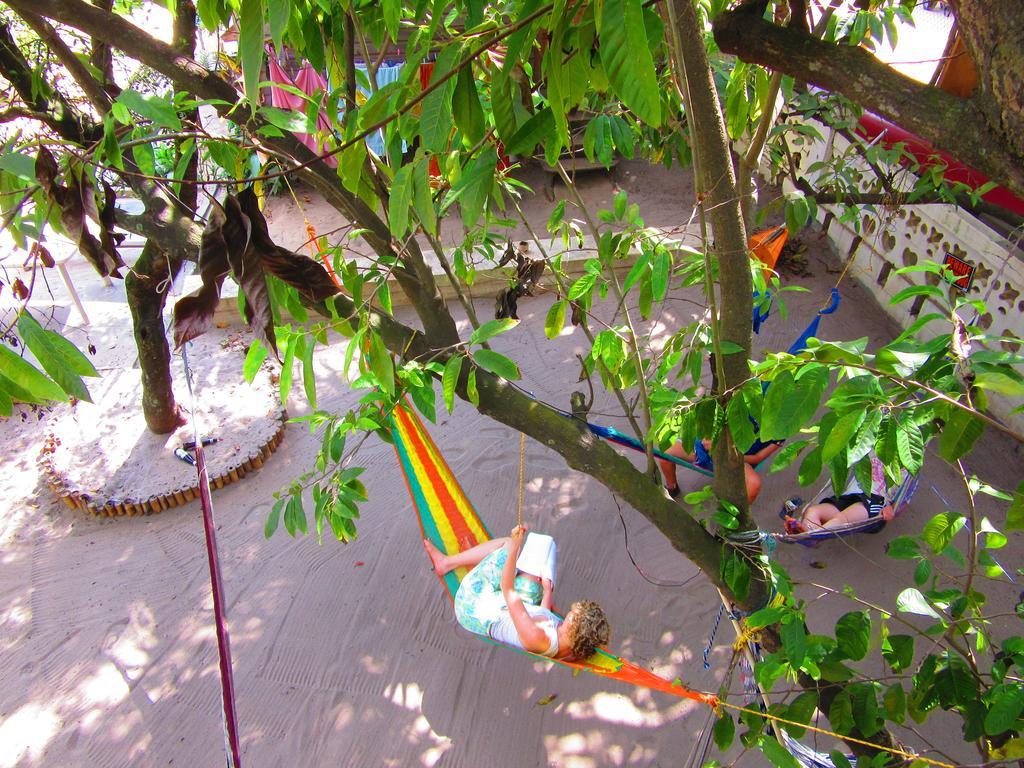 The Funky Dodo Backpackers Hostel Хопкинс Экстерьер фото