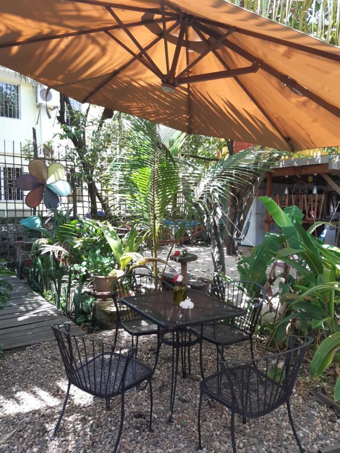 The Funky Dodo Backpackers Hostel Хопкинс Экстерьер фото