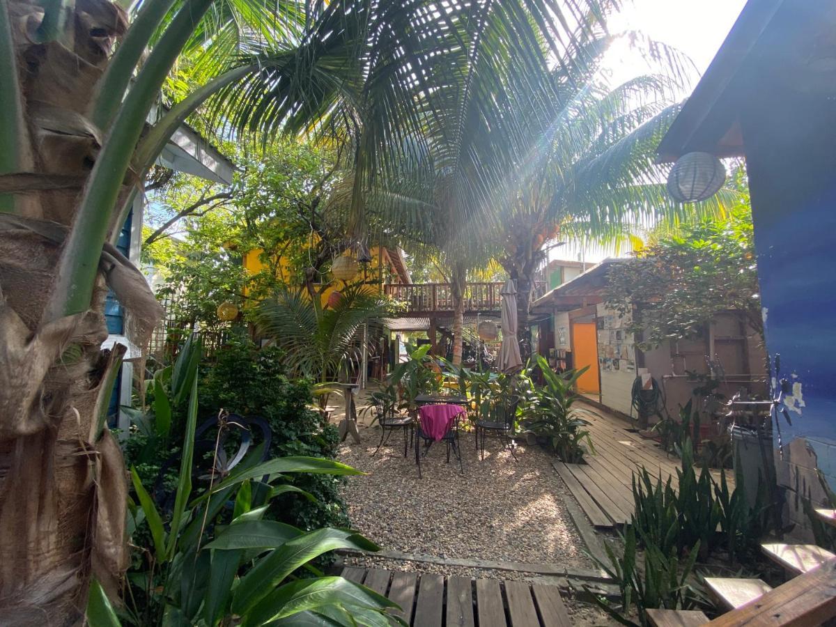 The Funky Dodo Backpackers Hostel Хопкинс Экстерьер фото
